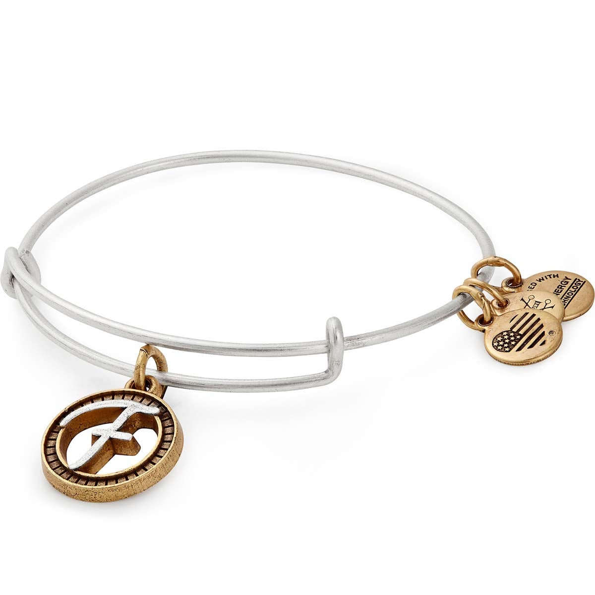 Initial A Charm Bangle Bracelet - Alex and Ani